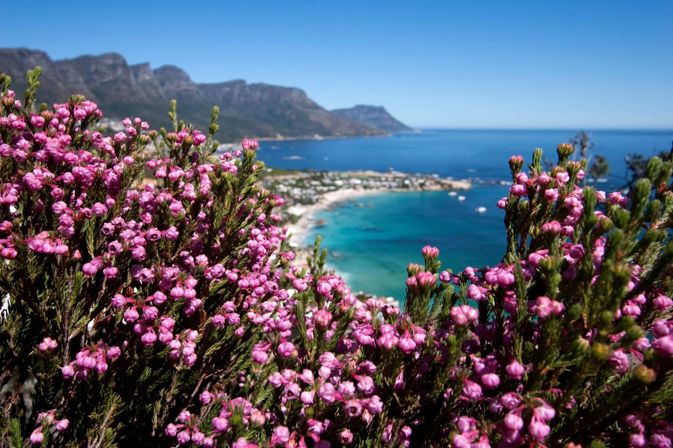 Fynbos Incenses Social Responsibility