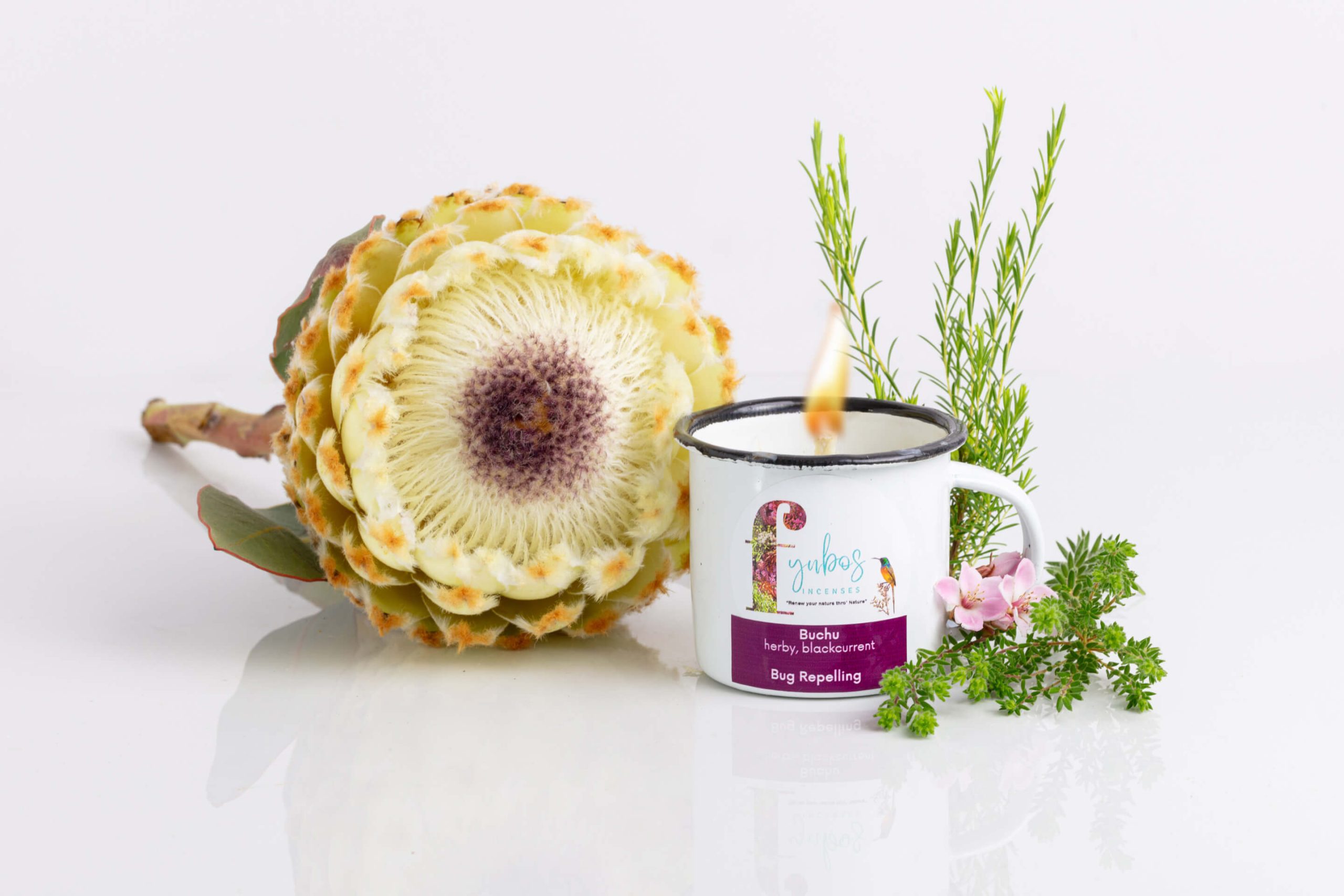 Fynbos Incenses - Products candles