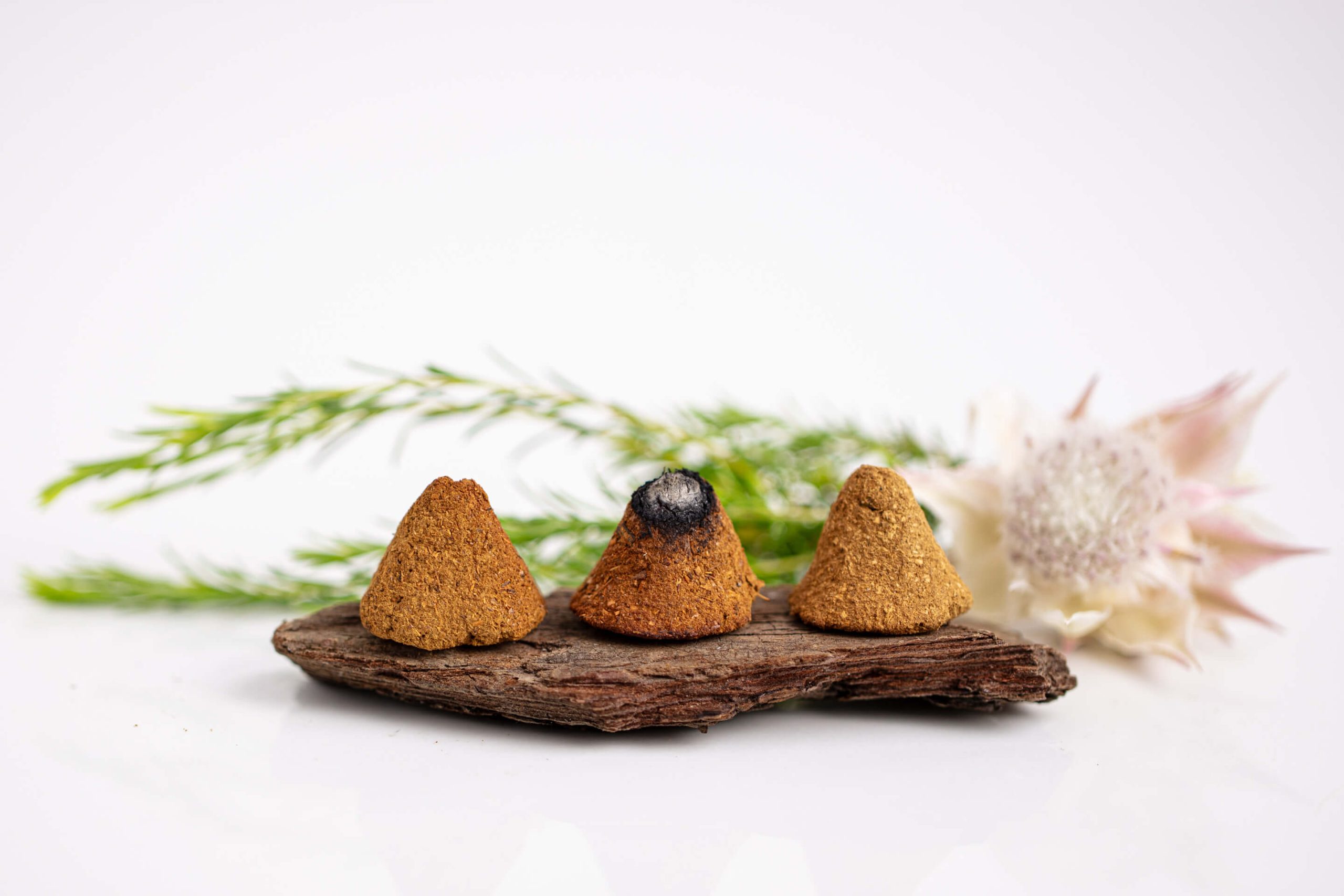 Fynbos Incenses - Products Incense Cones